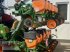 Sämaschine от тип Amazone ED 602 K, Gebrauchtmaschine в Holzhausen (Снимка 17)