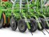 Sämaschine a típus Amazone TwinTec Striegel Satz Avant 6002-2 komplett, Gebrauchtmaschine ekkor: Husum (Kép 2)