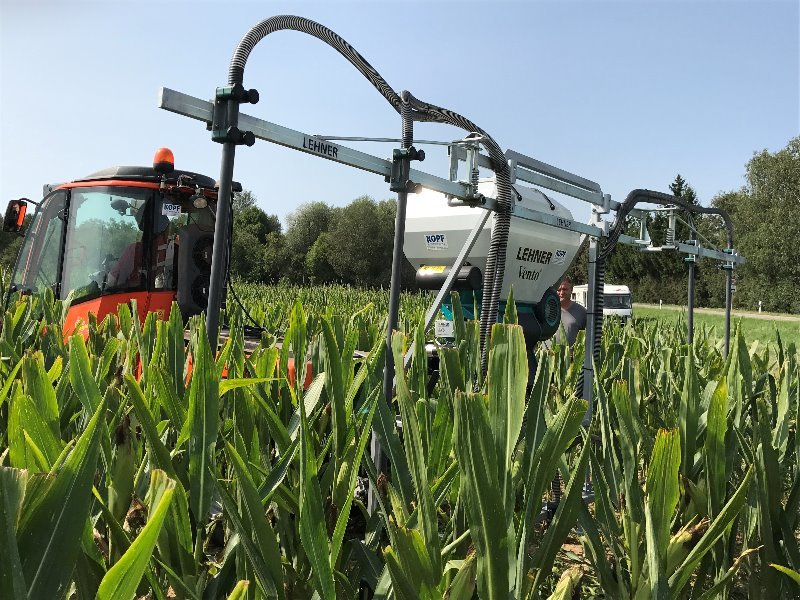 Sämaschine typu Lehner Vento II für Grasuntersaat im Mais, Gebrauchtmaschine v Schutterzell (Obrázok 4)
