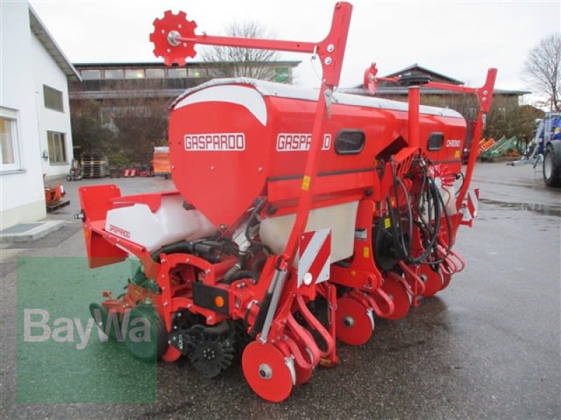 Sämaschine of the type Maschio CHRONO PNEUMATISC  #998, Vorführmaschine in Schönau b.Tuntenhausen (Picture 1)