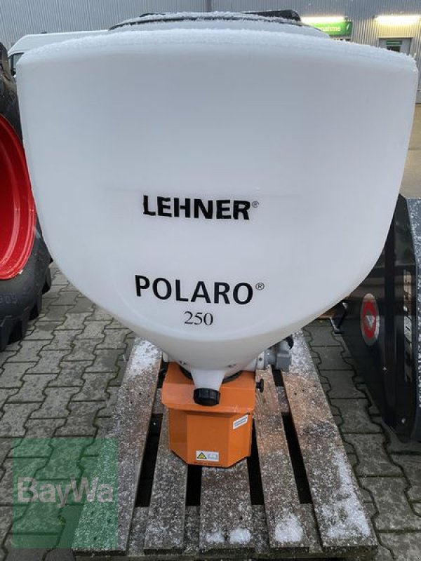 Sandstreuer & Salzstreuer des Typs Lehner POLARO 250 E, Gebrauchtmaschine in Bamberg (Bild 1)