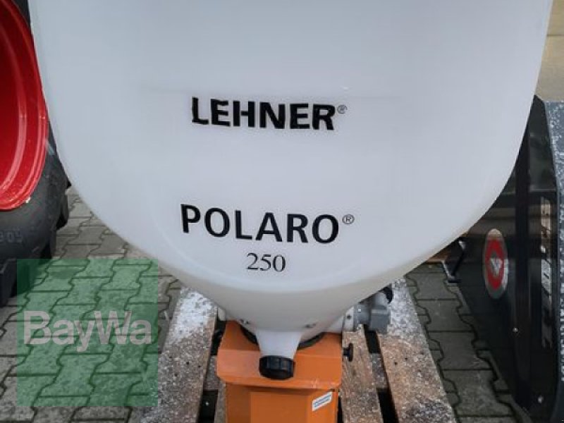 Sandstreuer & Salzstreuer des Typs Lehner POLARO 250 E, Gebrauchtmaschine in Bamberg (Bild 1)