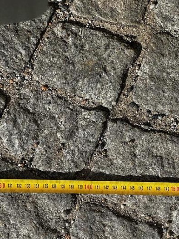 Schaufel des Typs Big Dutchman Volumenschaufel 250 cm mit Merlo ZM2 Aufnahme, Neumaschine in Göpfritz an der Wild (Bild 6)