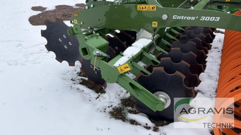 Scheibenegge del tipo Amazone CATROS+ 3003 SPECIAL, Neumaschine en Werl-Oberbergstraße (Imagen 4)