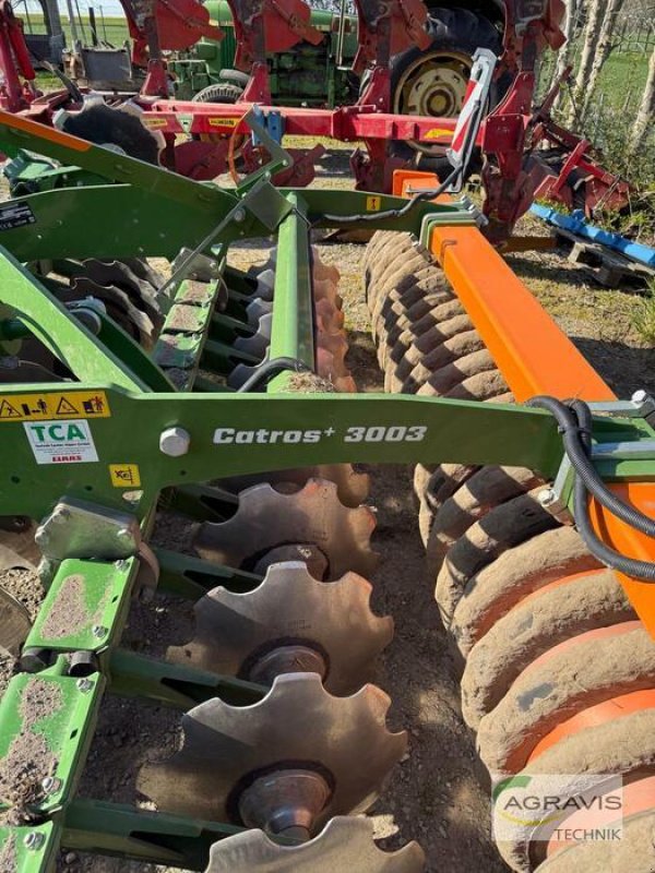 Scheibenegge typu Amazone CATROS+ 3003 SPECIAL, Gebrauchtmaschine v Geilenkirchen - Prummern (Obrázek 2)