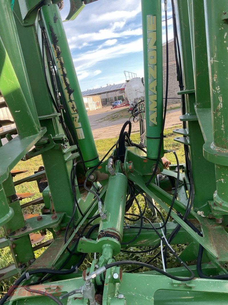 Scheibenegge of the type Amazone Catros 5501-T, Gebrauchtmaschine in Suhlendorf (Picture 5)