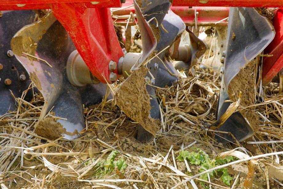 Scheibenegge του τύπου Horsch Joker 3 CT, Gebrauchtmaschine σε Balterswil (Φωτογραφία 1)