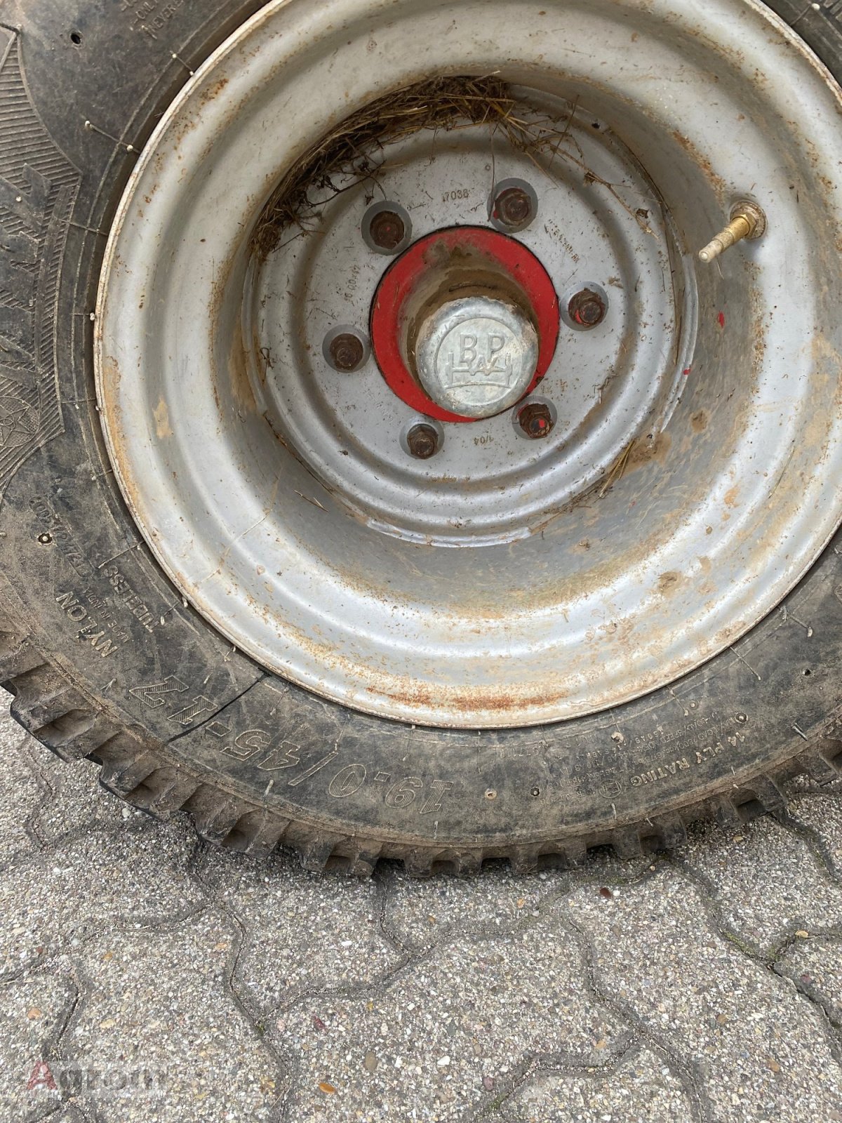 Scheibenegge Türe ait Knoche HX 5, Gebrauchtmaschine içinde Harthausen (resim 6)