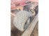 Scheibenegge tip Kuhn DISCOVERXM44, Gebrauchtmaschine in BRAY en Val (Poză 8)
