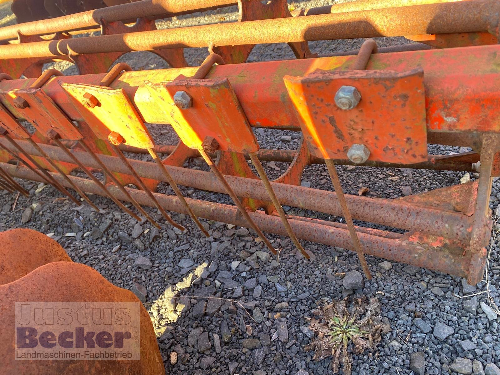 Scheibenegge tip Maschio Ufo 300, Gebrauchtmaschine in Weimar-Niederwalgern (Poză 5)