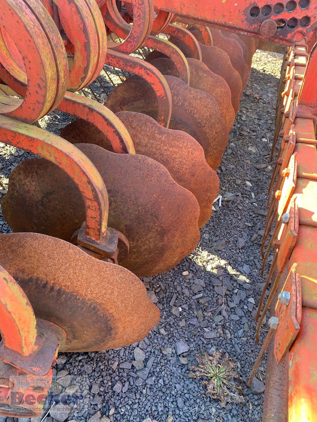 Scheibenegge tip Maschio Ufo 300, Gebrauchtmaschine in Weimar-Niederwalgern (Poză 6)