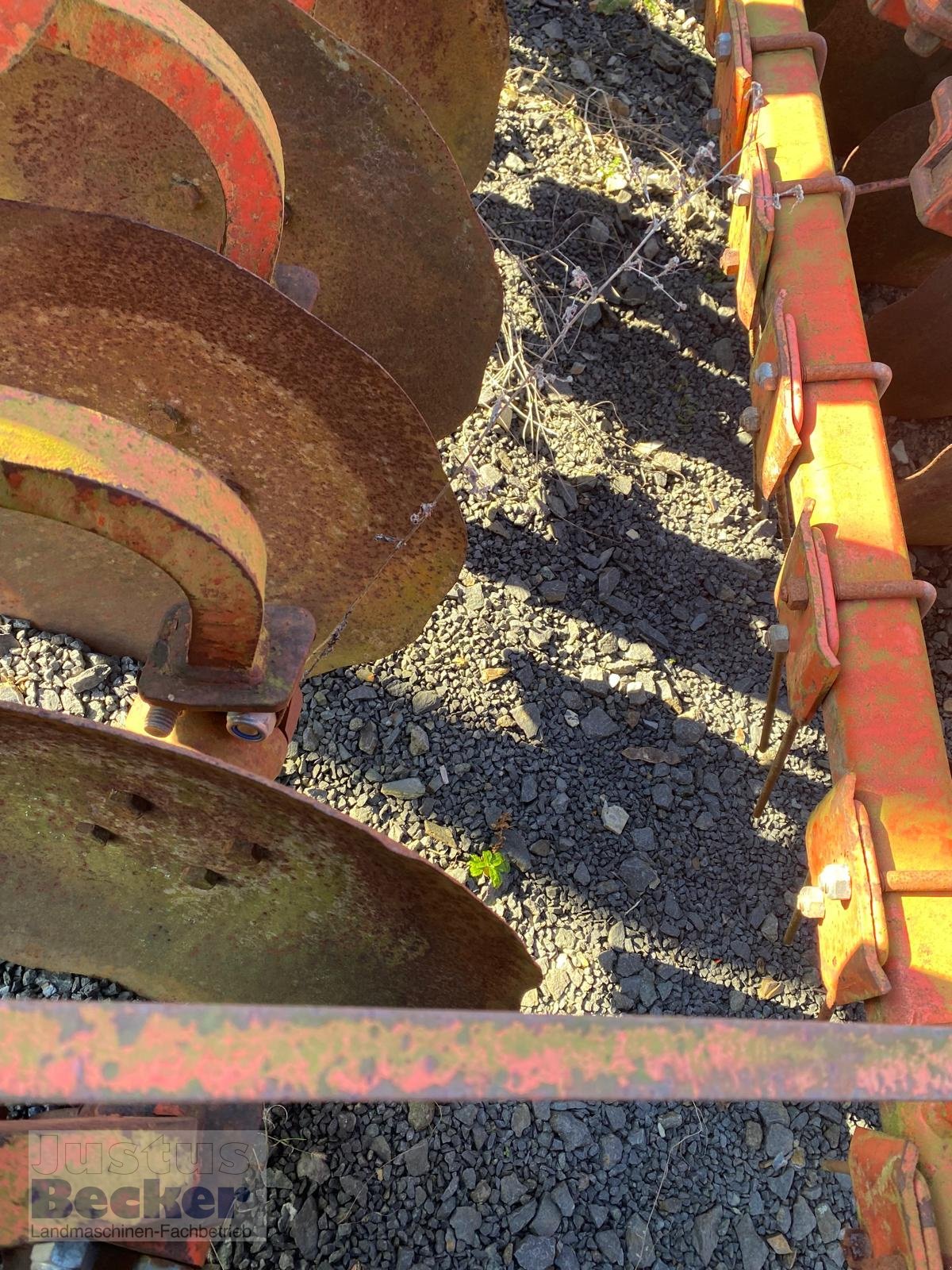 Scheibenegge tip Maschio Ufo 300, Gebrauchtmaschine in Weimar-Niederwalgern (Poză 7)