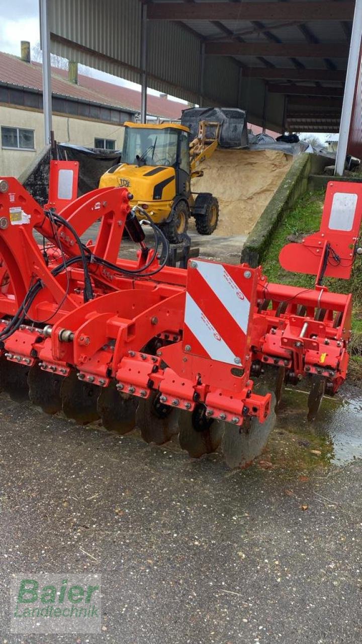 Scheibenegge des Typs Maschio VELOCE 30 90, Gebrauchtmaschine in OBERNDORF-HOCHMOESSINGEN (Bild 3)