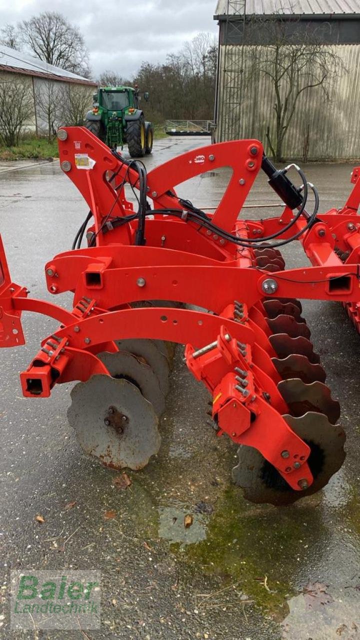 Scheibenegge des Typs Maschio VELOCE 30 90, Gebrauchtmaschine in OBERNDORF-HOCHMOESSINGEN (Bild 4)