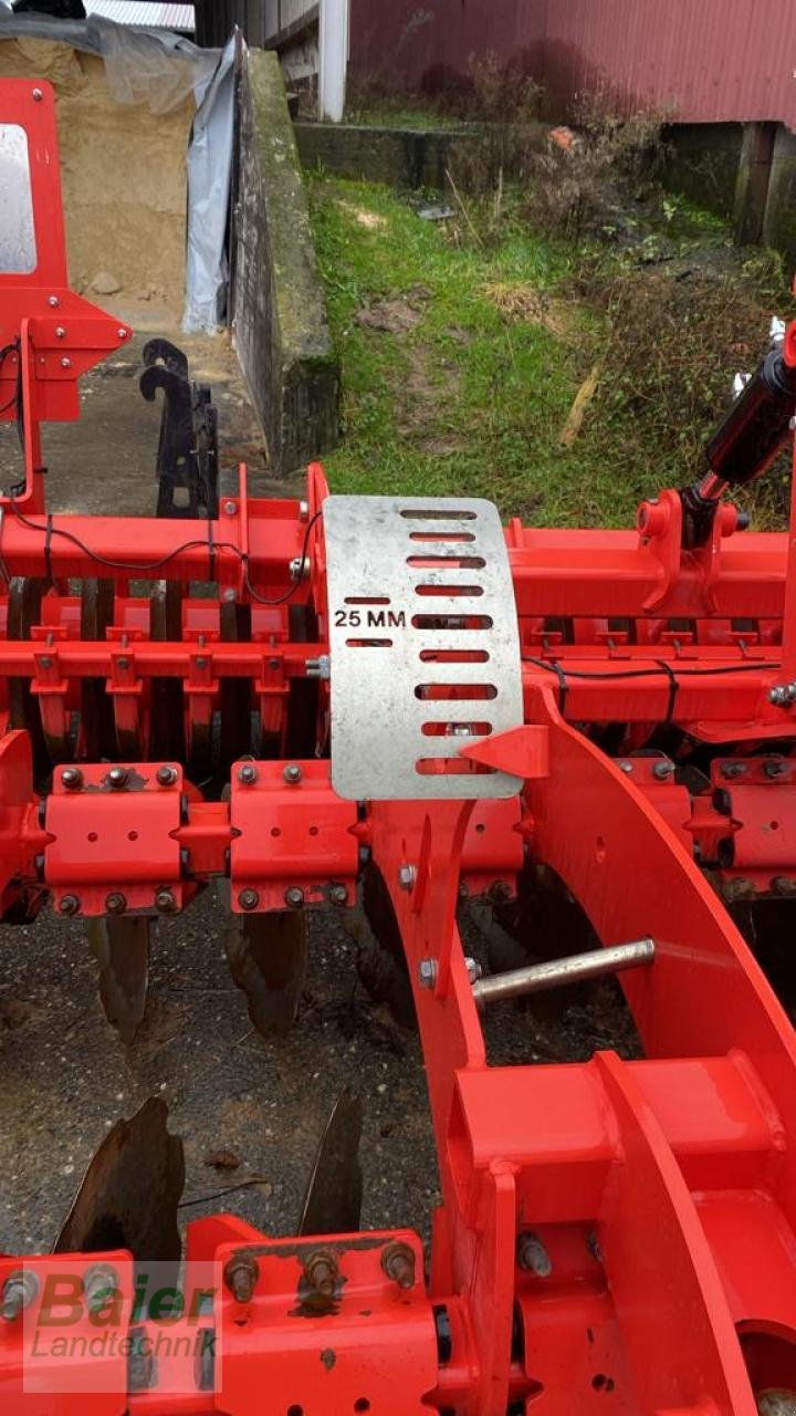 Scheibenegge des Typs Maschio VELOCE 30 90, Gebrauchtmaschine in OBERNDORF-HOCHMOESSINGEN (Bild 5)