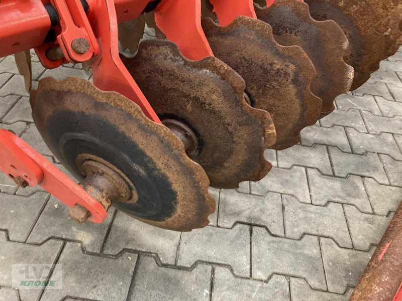 Scheibenegge typu Maschio Veloce 300 Rigid, Gebrauchtmaschine v Spelle (Obrázek 5)