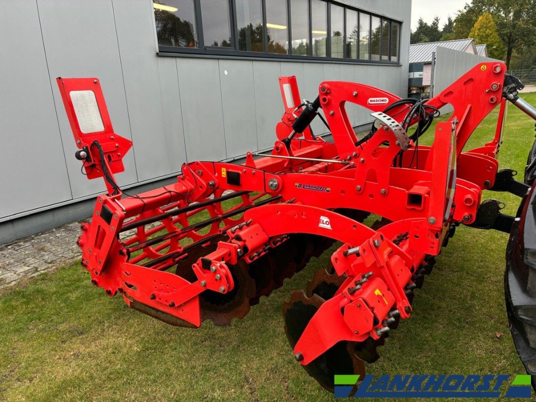 Scheibenegge des Typs Maschio Veloce 300, Gebrauchtmaschine in Friesoythe-Thüle (Bild 2)