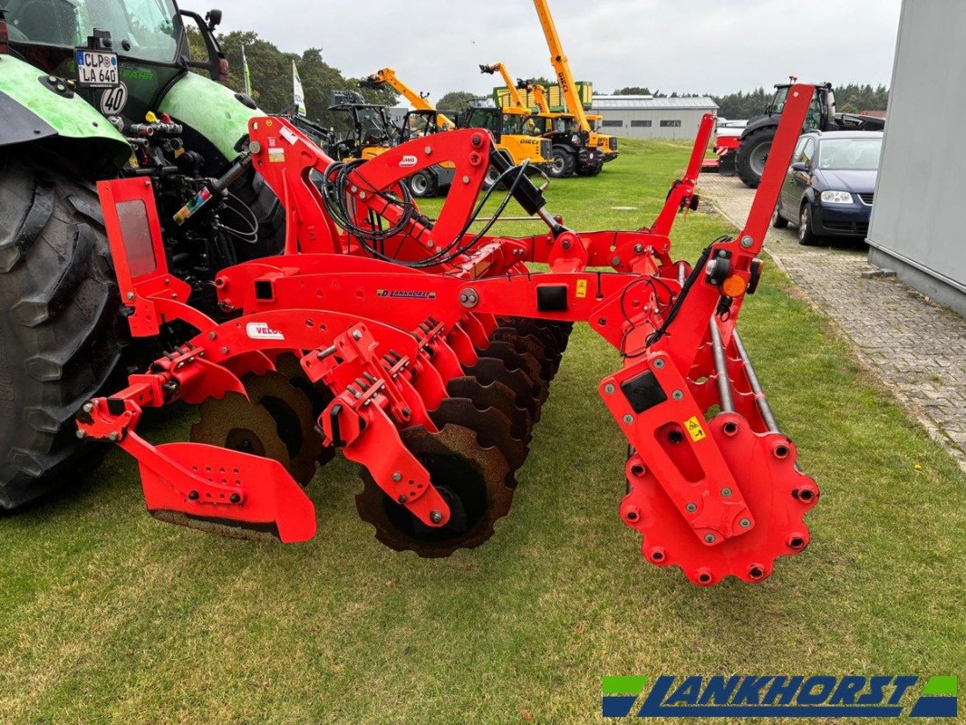 Scheibenegge des Typs Maschio Veloce 300, Gebrauchtmaschine in Friesoythe-Thüle (Bild 4)