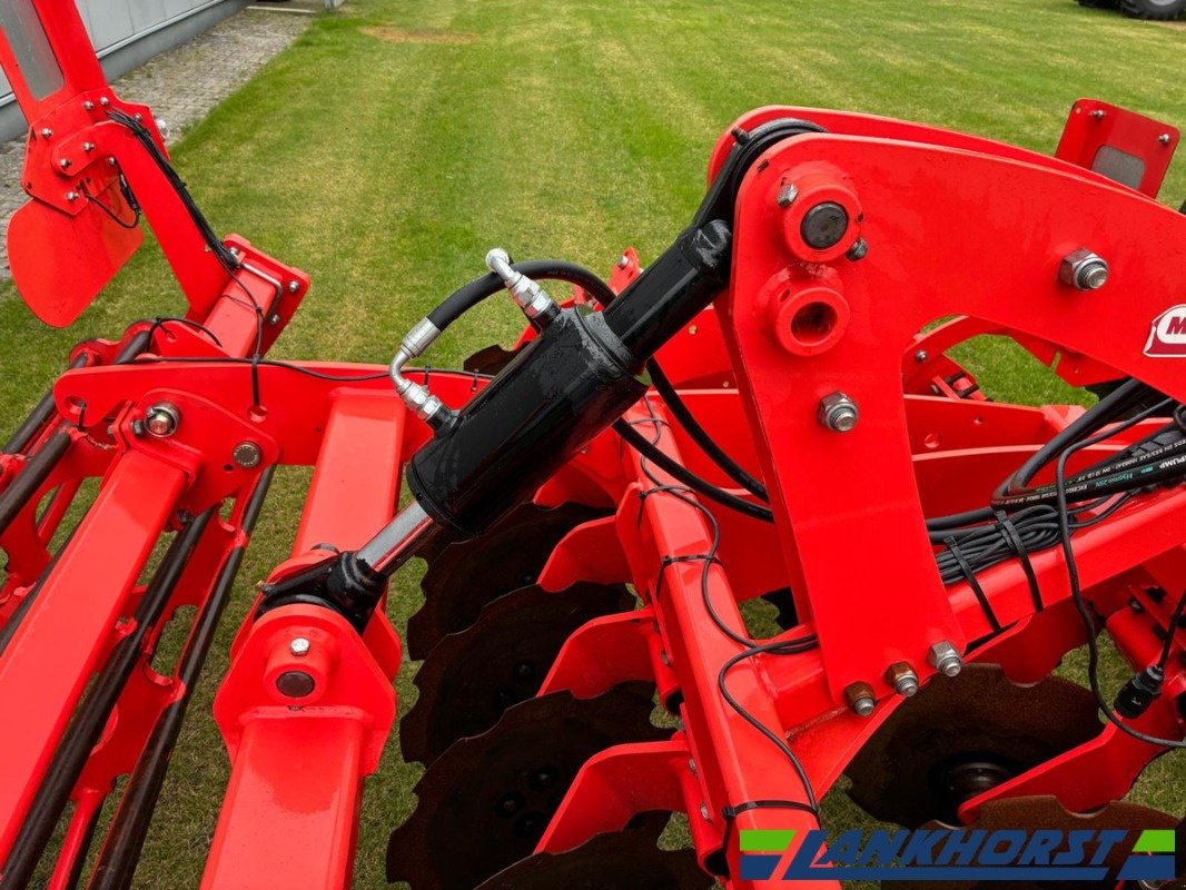 Scheibenegge des Typs Maschio Veloce 300, Gebrauchtmaschine in Friesoythe-Thüle (Bild 5)