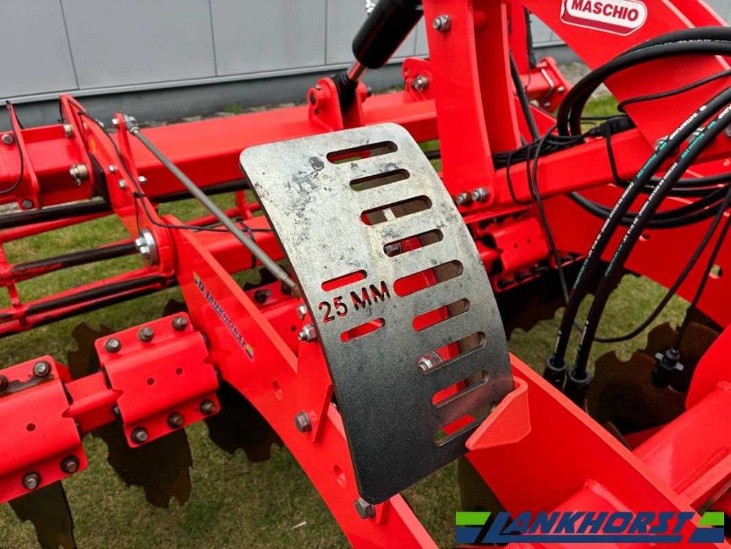 Scheibenegge des Typs Maschio Veloce 300, Gebrauchtmaschine in Friesoythe-Thüle (Bild 6)