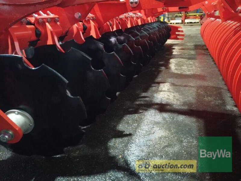 Scheibenegge of the type Maschio VELOCE 400 KURZSCHEIBENEGGE UR, Gebrauchtmaschine in Erbach (Picture 7)