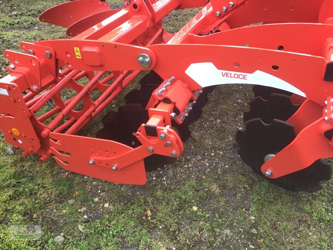 Scheibenegge of the type Maschio Veloce200, Gebrauchtmaschine in Zorbau (Picture 2)