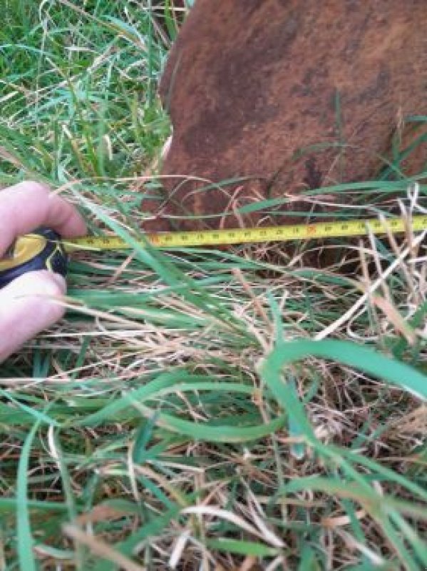 Scheibenegge des Typs Razol COVER CROPP, Gebrauchtmaschine in Piennes (Bild 8)