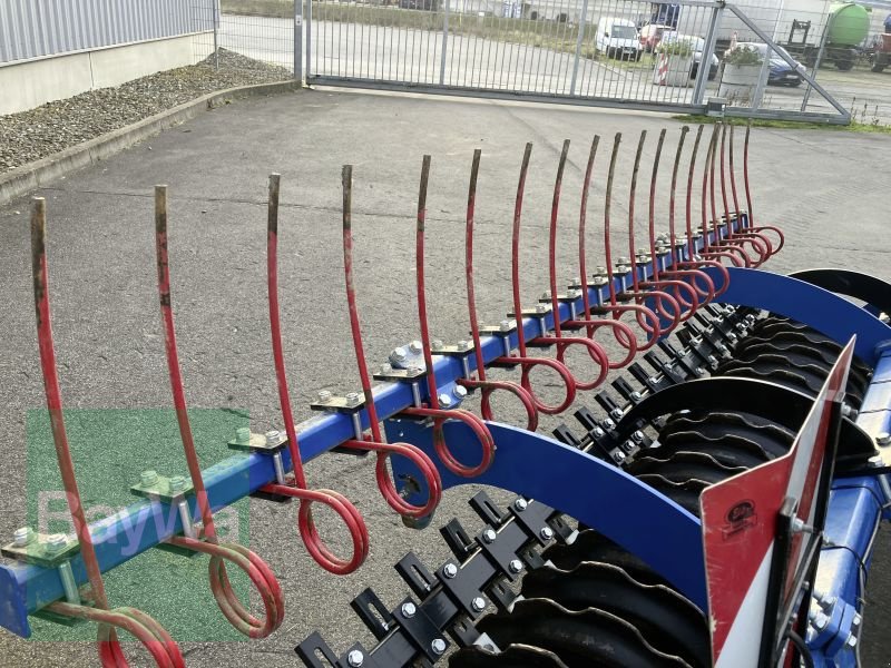 Scheibenegge des Typs Sonstige BLUE POWER BP 300, Gebrauchtmaschine in Bamberg (Bild 10)