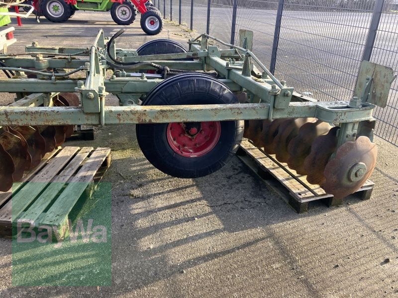 Scheibenegge des Typs Sonstige SCHEIBENEGGE, Gebrauchtmaschine in Neumark (Bild 4)
