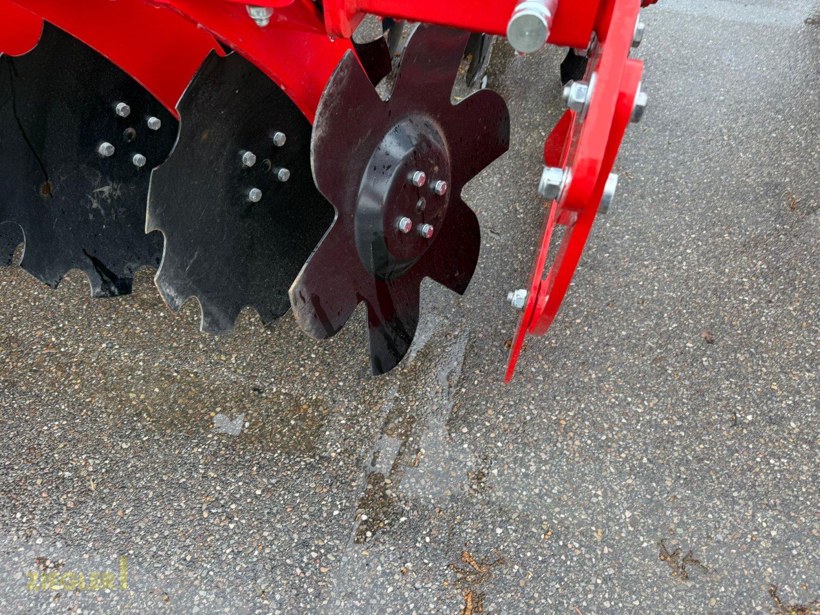 Scheibenegge des Typs Ziegler Disc Master Pro 3002, Neumaschine in Pöttmes (Bild 2)