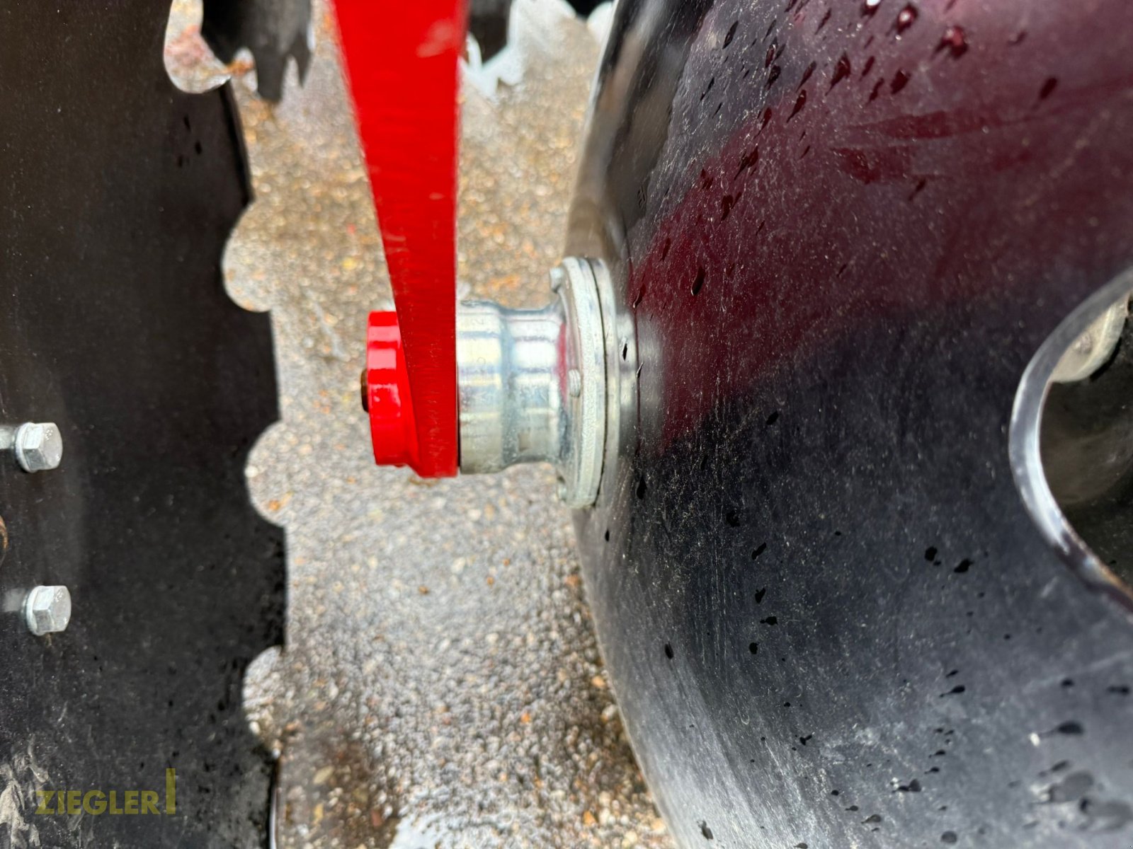 Scheibenegge des Typs Ziegler Disc Master Pro 3002, Neumaschine in Pöttmes (Bild 7)