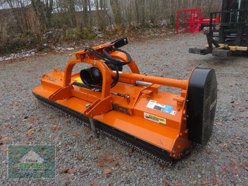 Schlegelmäher Türe ait Berti Dual 300, Gebrauchtmaschine içinde Hofkirchen (resim 8)