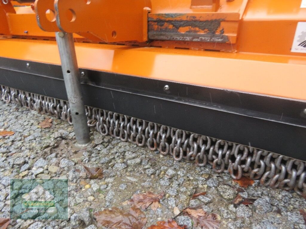 Schlegelmäher Türe ait Berti Dual 300, Gebrauchtmaschine içinde Hofkirchen (resim 10)