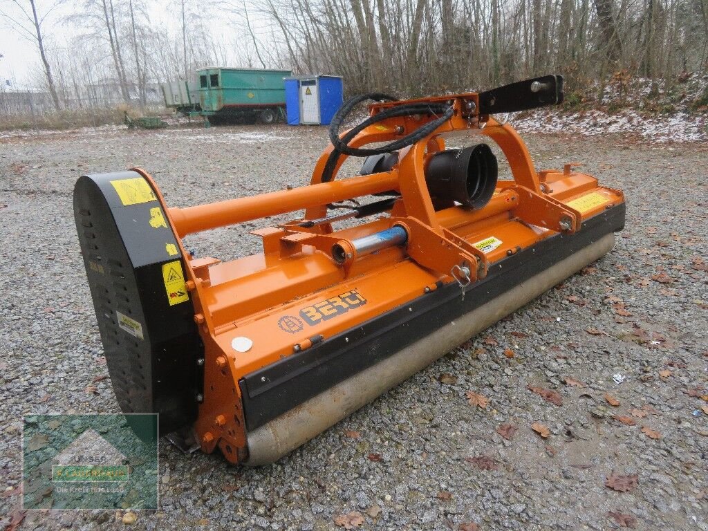 Schlegelmäher Türe ait Berti Dual 300, Gebrauchtmaschine içinde Hofkirchen (resim 2)