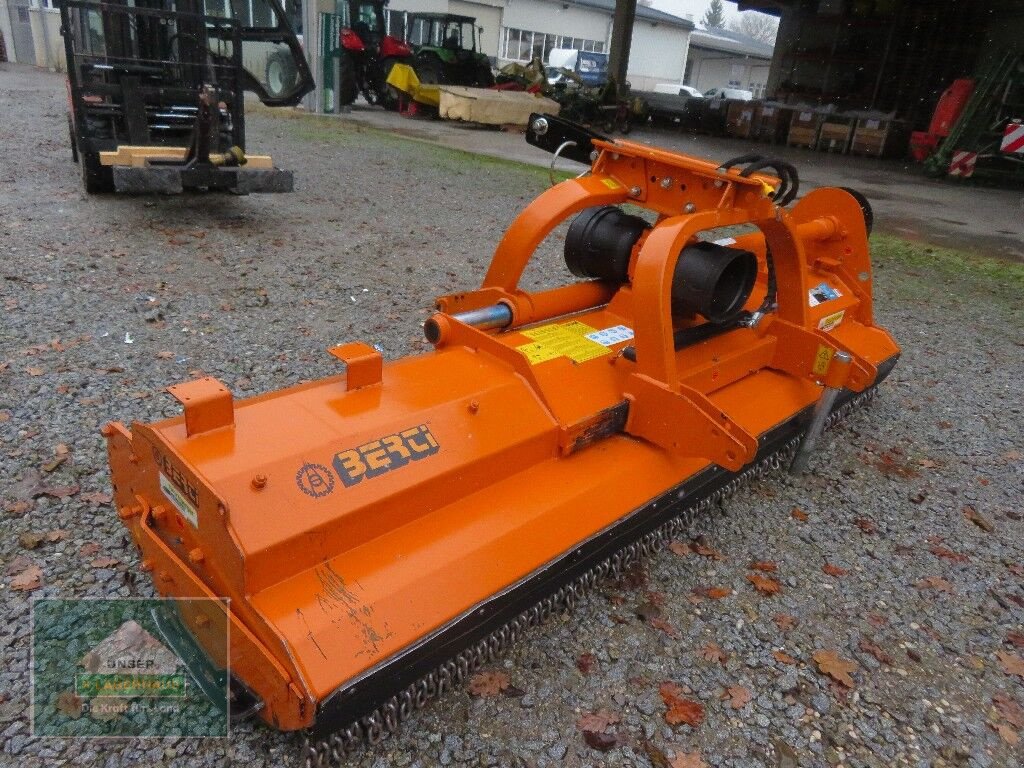 Schlegelmäher Türe ait Berti Dual 300, Gebrauchtmaschine içinde Hofkirchen (resim 5)