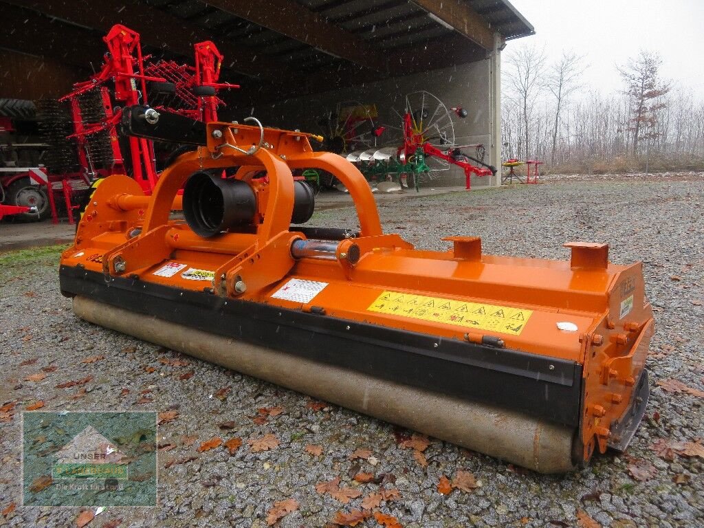 Schlegelmäher Türe ait Berti Dual 300, Gebrauchtmaschine içinde Hofkirchen (resim 1)