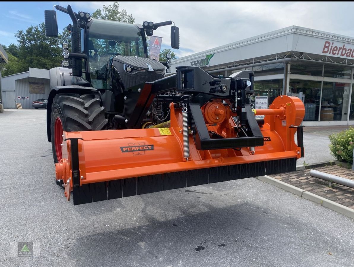 Schlegelmäher Türe ait Perfect KT 245 - 3D, Neumaschine içinde Markt Hartmannsdorf (resim 12)
