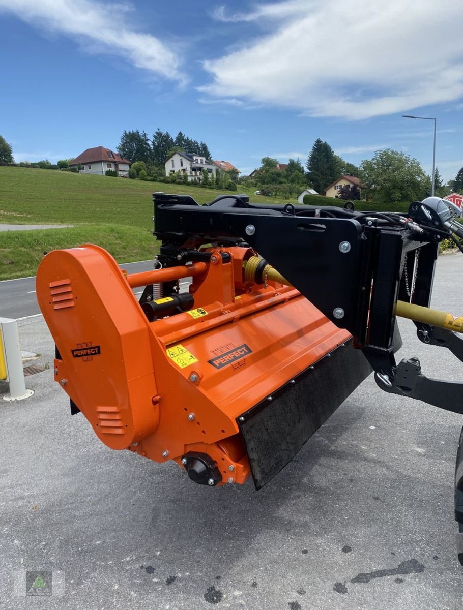 Schlegelmäher Türe ait Perfect KT 245 - 3D, Neumaschine içinde Markt Hartmannsdorf (resim 14)