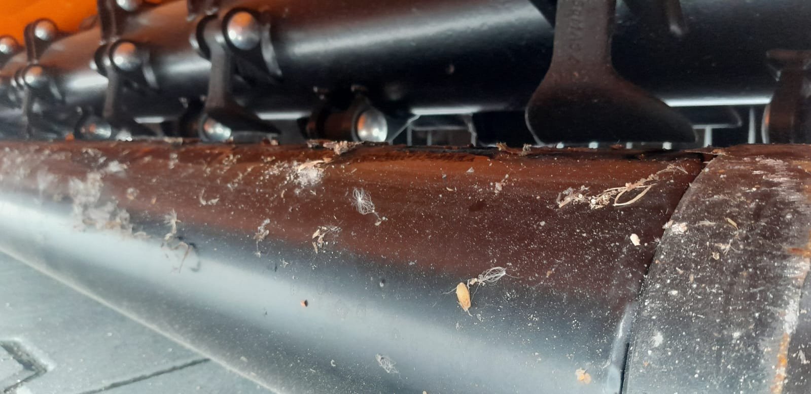 Schlegelmäher typu SaMASZ GRINO 220, Neumaschine v Mrągowo (Obrázek 11)