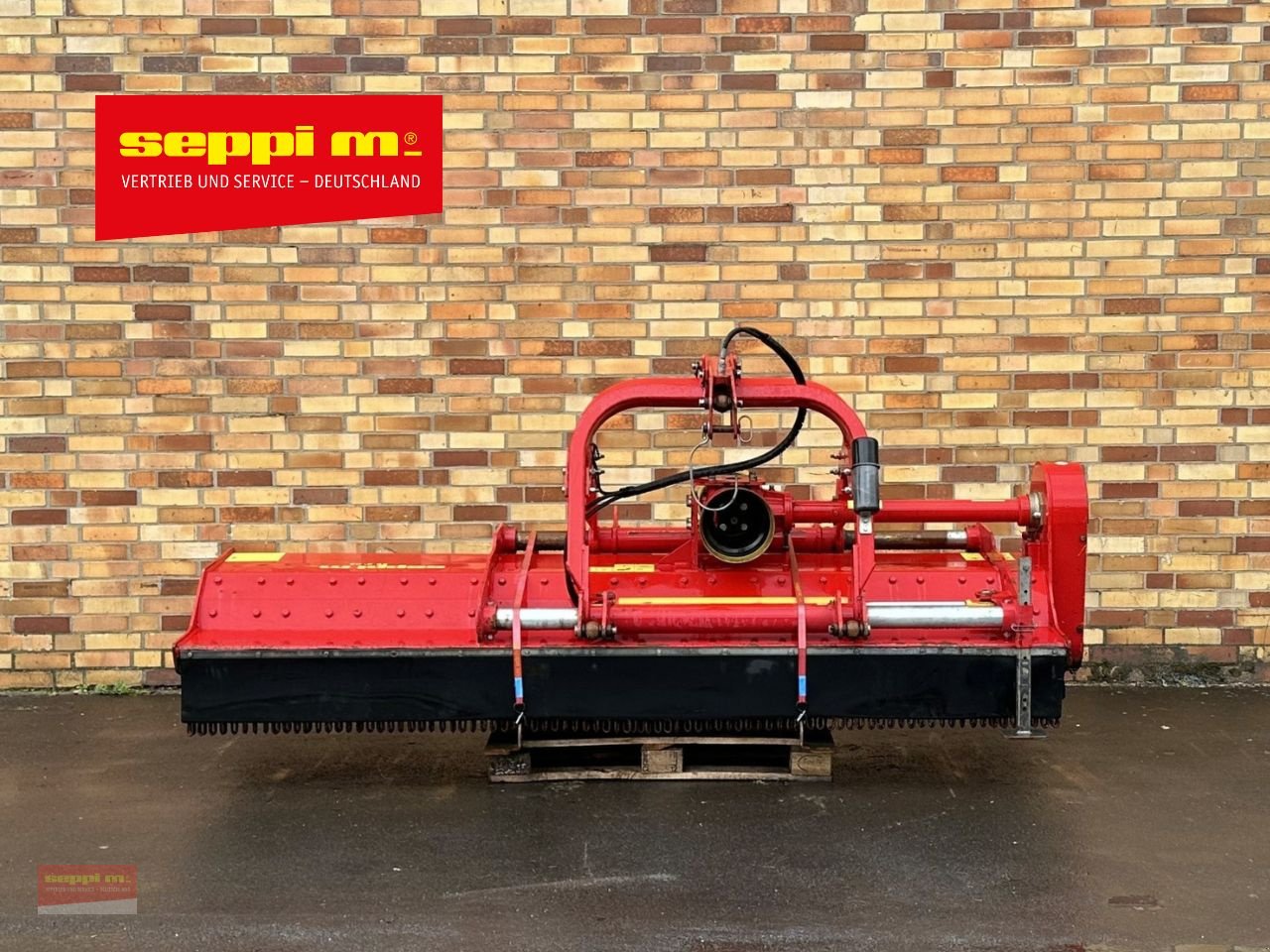 Schlegelmäher typu Seppi S9 dyna 300, Gebrauchtmaschine v Michelstadt (Obrázek 1)