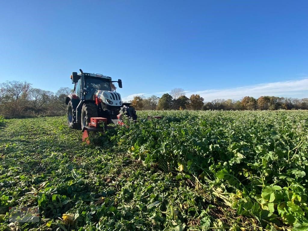 Schlegelmäher des Typs Sonstige Dalandtechnik Messeregge Katana 300, Neumaschine in Eberschwang (Bild 15)