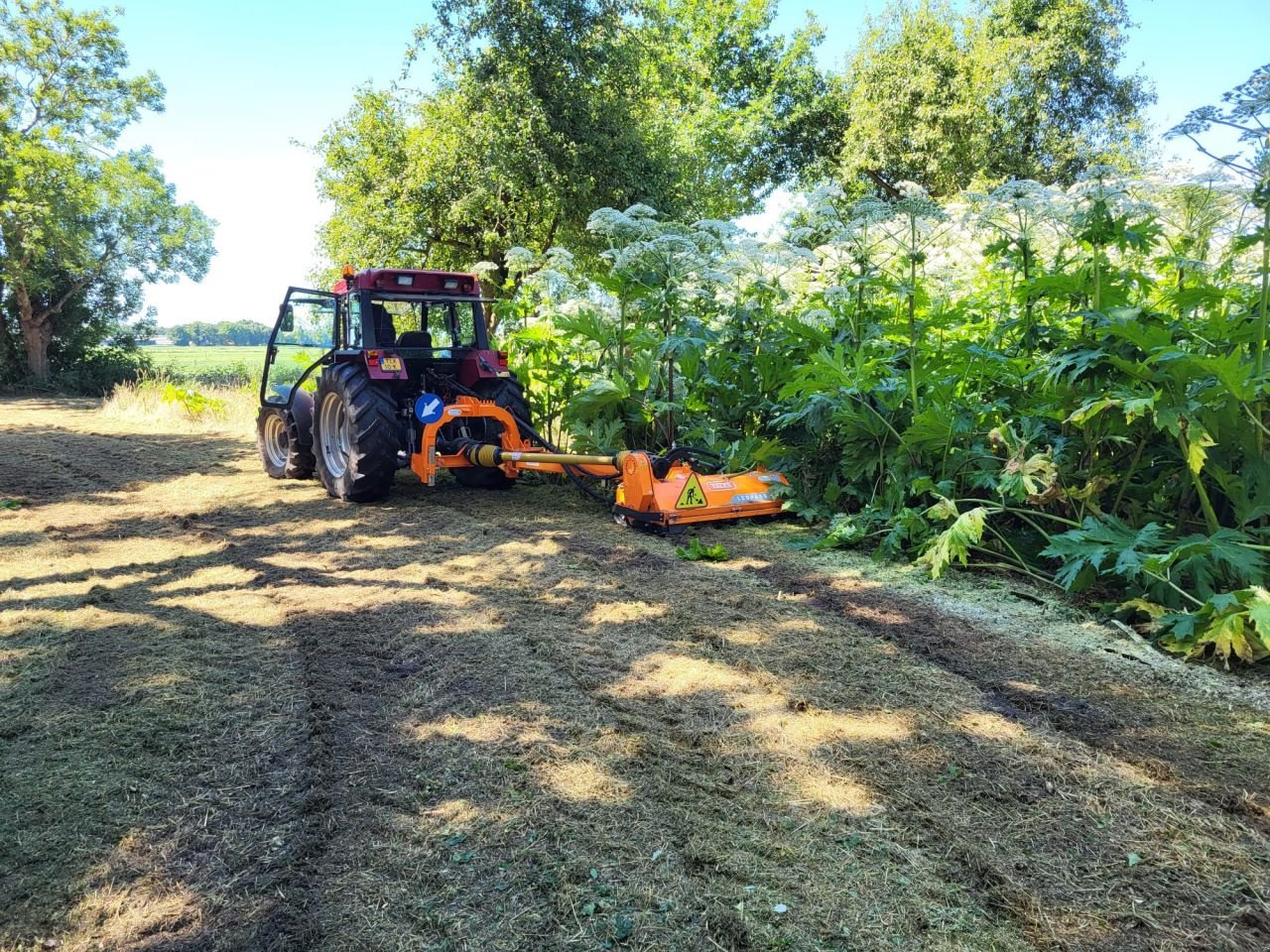 Schlegelmäher of the type Talex Leopard RB, Gebrauchtmaschine in Rouveen (Picture 5)