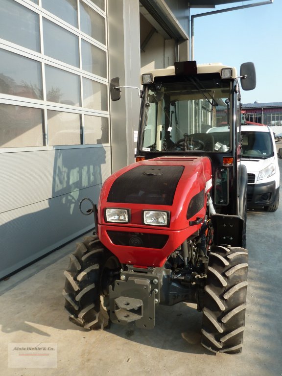 Schmalspurtraktor des Typs BERGmeister 864, Neumaschine in Tapfheim (Bild 2)