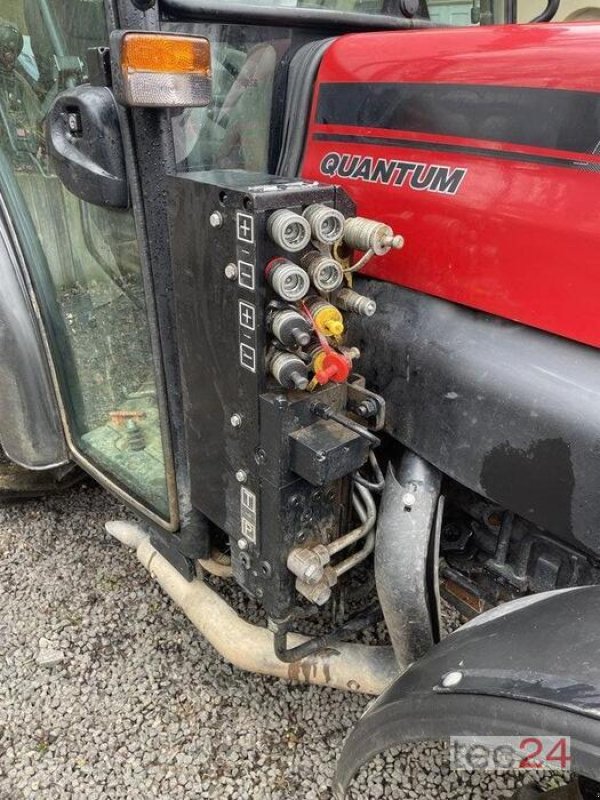 Schmalspurtraktor Türe ait Case IH Quantum 95V, Gebrauchtmaschine içinde Gundersheim (resim 2)