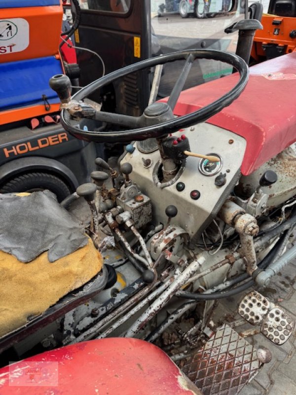 Schmalspurtraktor des Typs Dexheimer Allrad 345, Gebrauchtmaschine in Remchingen (Bild 2)