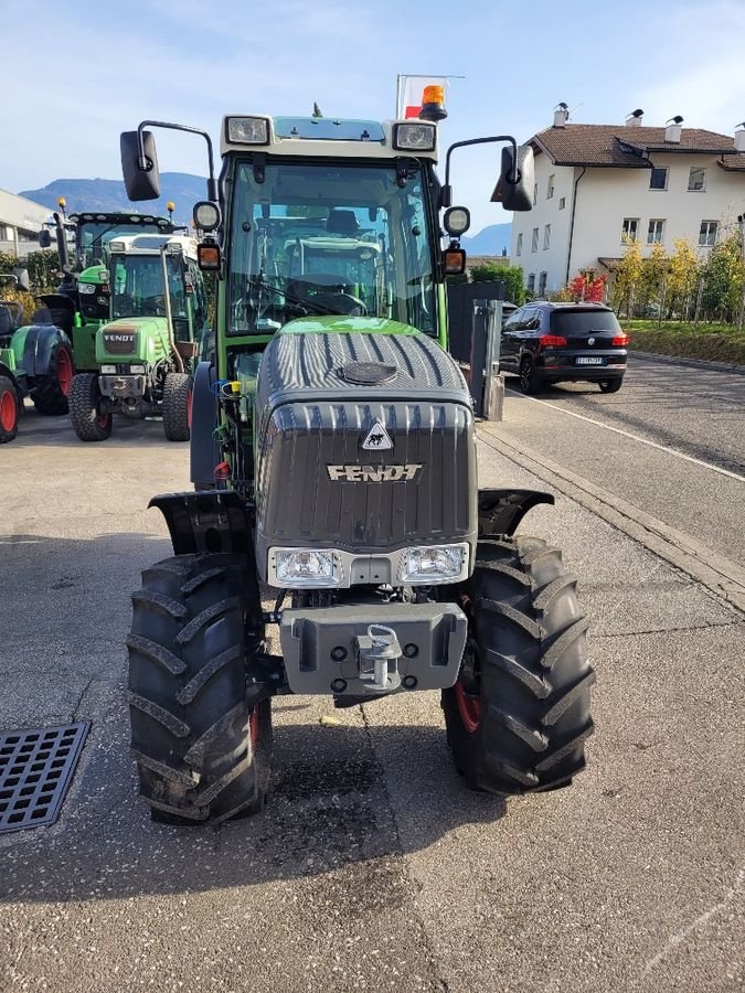 Schmalspurtraktor del tipo Fendt 207V - GB322, Gebrauchtmaschine In Eppan (BZ) (Immagine 2)