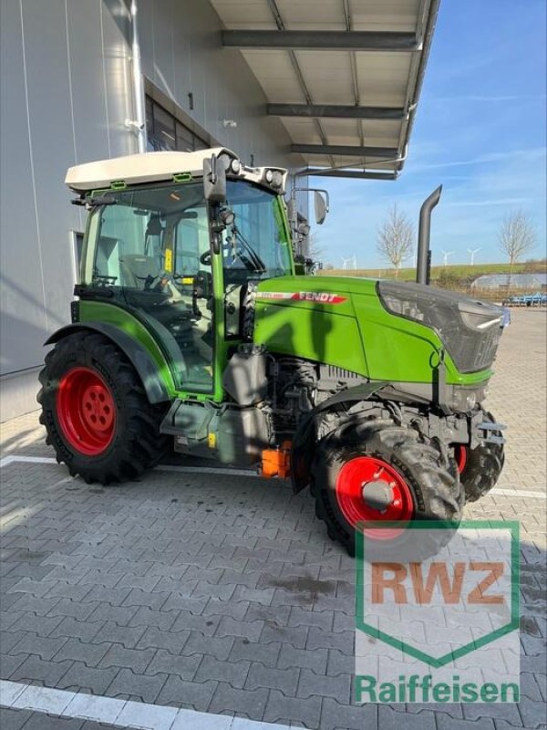Schmalspurtraktor del tipo Fendt 209 V VarioGen3, Gebrauchtmaschine In Herxheim (Immagine 3)