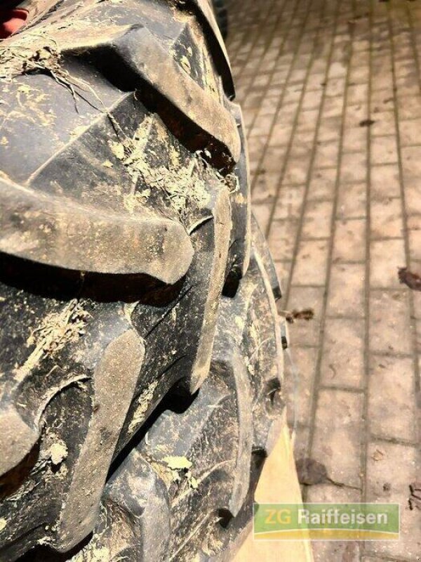 Schmalspurtraktor du type Fendt 250 V, Gebrauchtmaschine en Bruchsal (Photo 14)