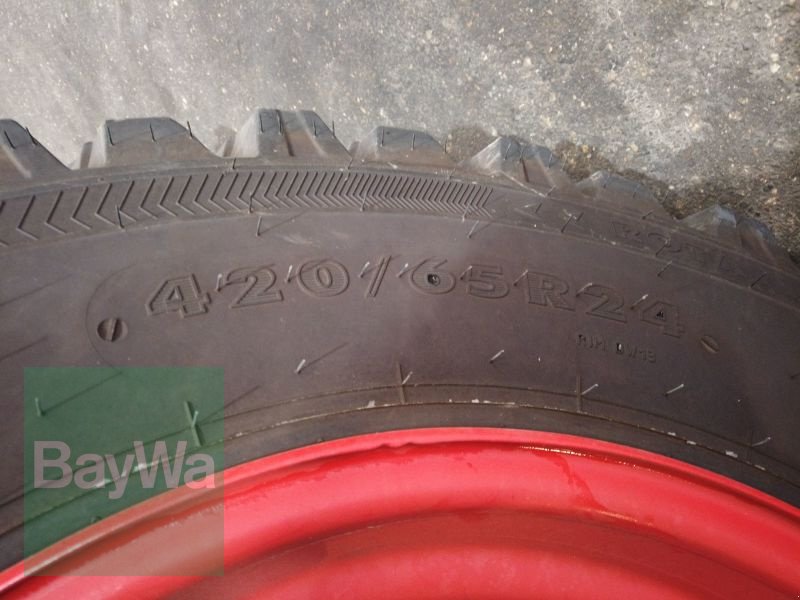 Schmalspurtraktor des Typs Fendt FENDT 208 V VARIO GEN3 PROFI, Gebrauchtmaschine in Erbach (Bild 14)