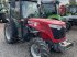Schmalspurtraktor des Typs Massey Ferguson 3625 GE, Gebrauchtmaschine in Dannstadt-Schauernheim (Bild 1)